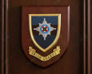 Irish Guards - Wall Shield Plaque | MOD Licensed Seller