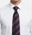 The Royal Hampshire Regiment Regimental Tie