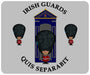 Irish Guards On Sentry 4 Pack of Placemats
