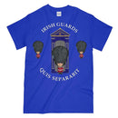 Irish Guards On Sentry Military Printed T-Shirt Small - 34/36’ / Royal Blue