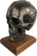 Life Size Skull Beret Hat Holder Cold Cast Bronze Statue Sculpture Wooden Base (Select this for engraved plate Military