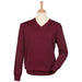 V Neck Sweater - The Life Guards Lightweight V Neck Sweater